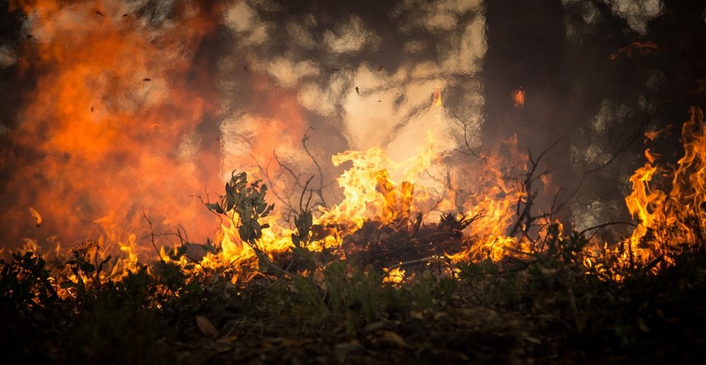 Lebensgefahren beim Zelten: Waldbrand und Feuer